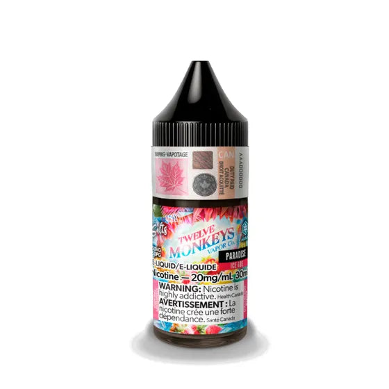 TWELVE MONKEYS ICE SALT 30 ML - PARADISE