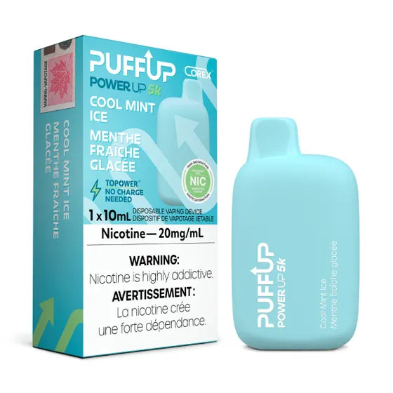 PUFF UP 5K - COOL MINT ICED Vape City PUFF UP 5K - COOL MINT ICED Vape City
