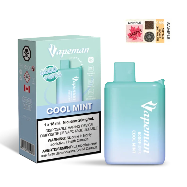 VAPEMAN 6000 - COOL MINT