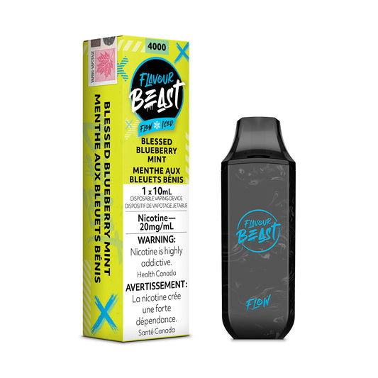 FLAVOUR BEAST 4000 - BLESSED BLUEBERRY MINT